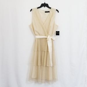 Gabby Skye Sheer Dress!